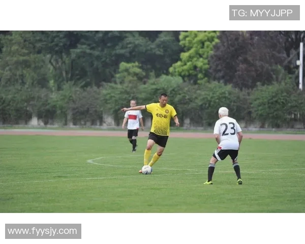 中国足球甲A联赛的辉煌历史与未来发展展望